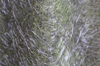 Breckrey fibreglass roof work